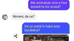 BANCUL ZILEI | "Băi animalule, cine a fost aseară la noi acasă?"
