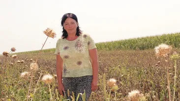 Poveste de succes! A lucrat la cules în Spania, iar acum… Câştigă mii din euro din scaieţi!