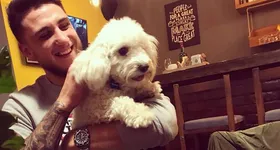 Galerie foto - poza 3