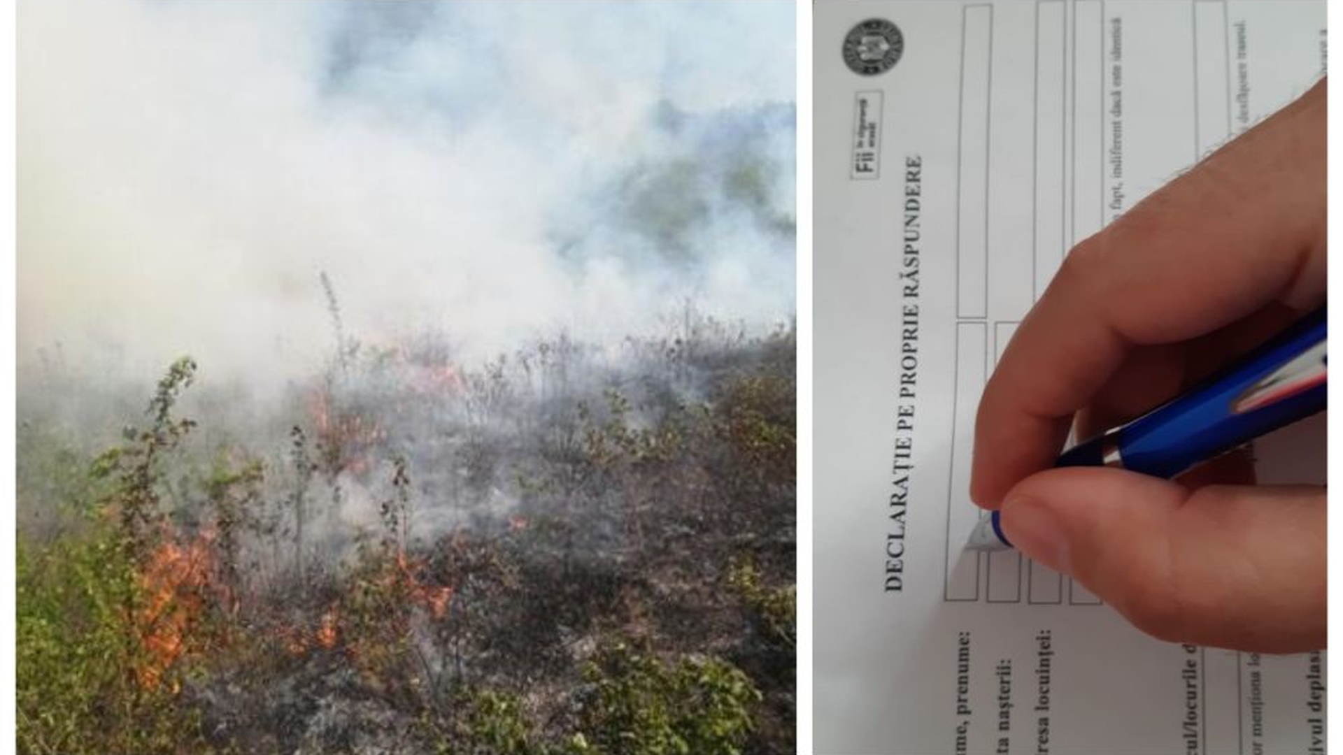 Un primar din Dâmbovița cere ajutorul localnicilor pentru a stinge un incendiu de vegetație. Oamenii ar ajuta, dar se confruntă cu o situație inedită
