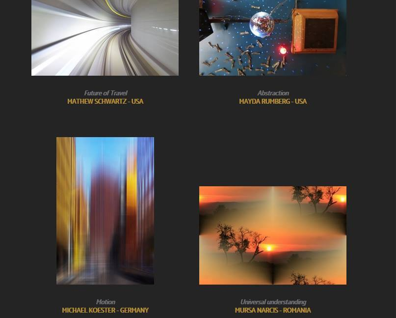 O parte dintre fotografiile care au intrat în finală, inclusiv cea a românului