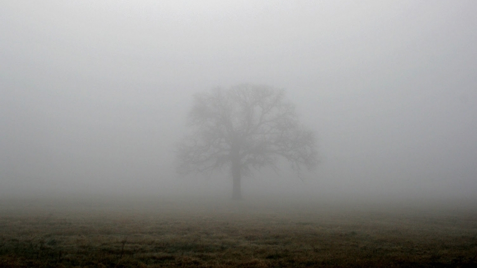 METEO 24 decembrie. Cum va fi vremea in ajun de Craciun!