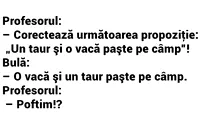 BANC | Profesorul: Bulă, corectează următoarea propoziție: Un taur și o vacă paște pe câmp