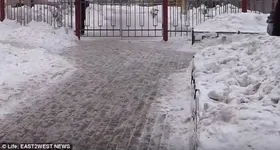 Galerie foto - poza 2