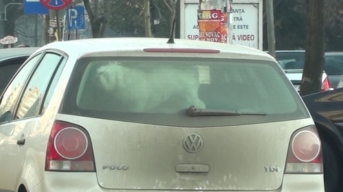 Il mai tii minte pe fostul coleg de trupa al Deliei? Vezi cum reactioneaza cand e prins in ambuscada de un grup de Craciunite!