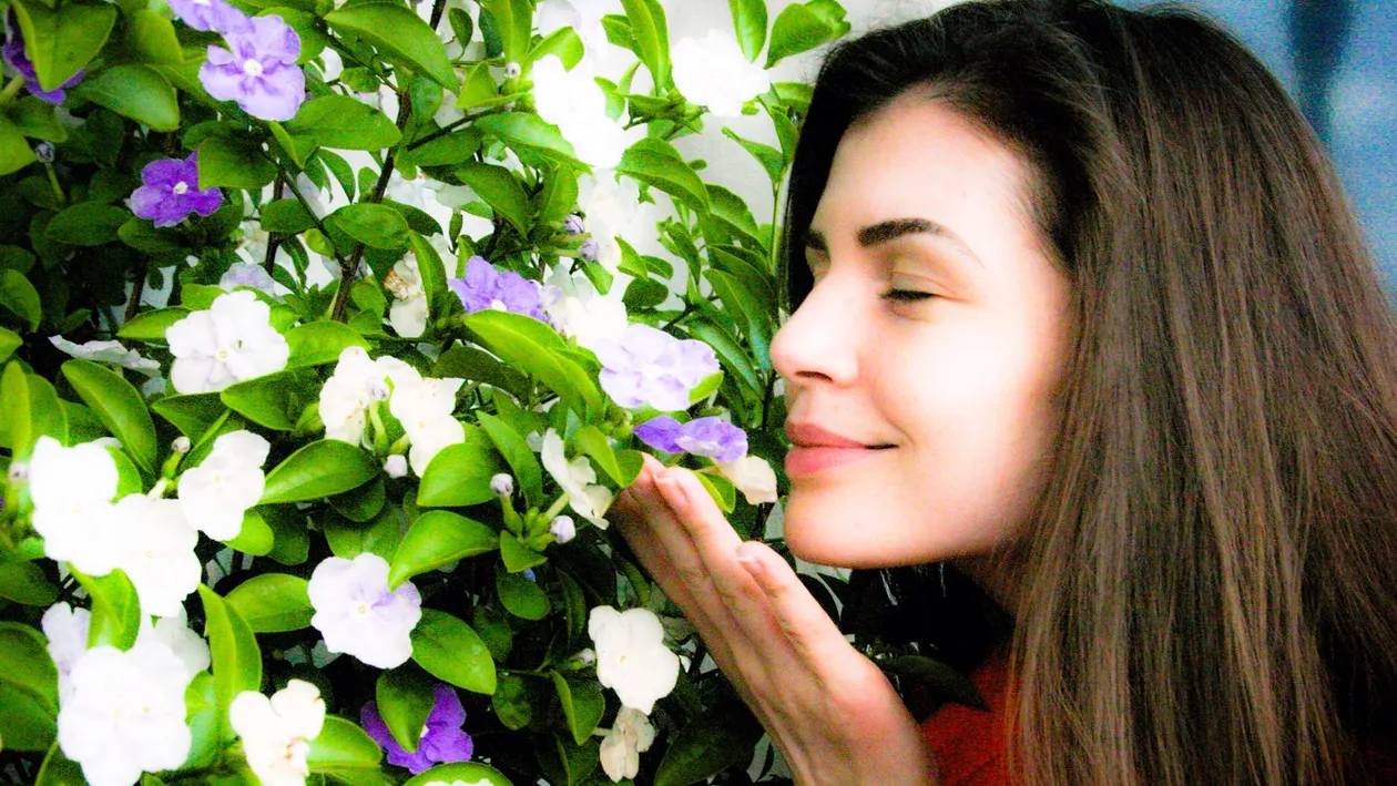 Noul “triunghi al bermudelor” are o noua axa! Dubai, L.A... Bacau! Ce tranzactie au facut surorile Gabor si cine a ridicat coletul