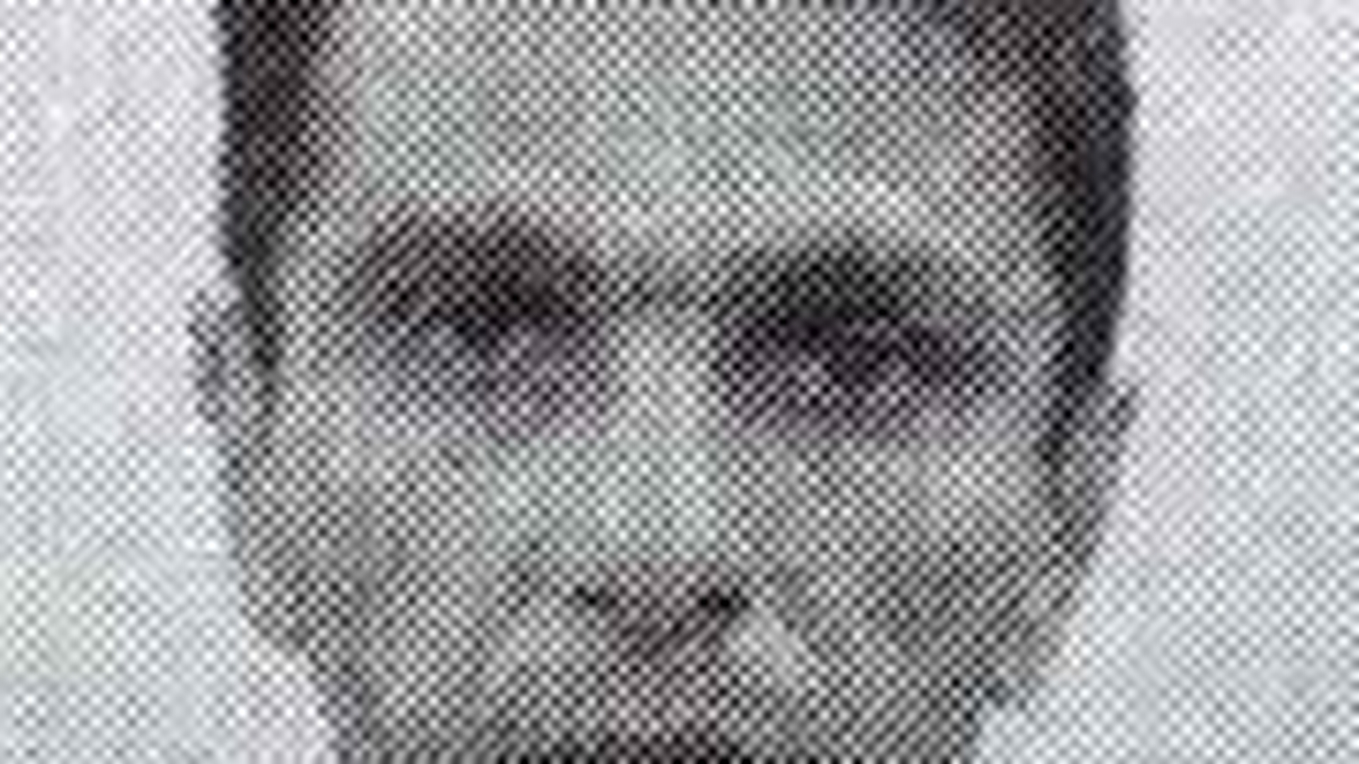 Cel mai cautat infractor din Romania e un armean, Ayunts Gagik zis Yura! Vezi aici cine mai e in "Top 10 Most Wanted"!
