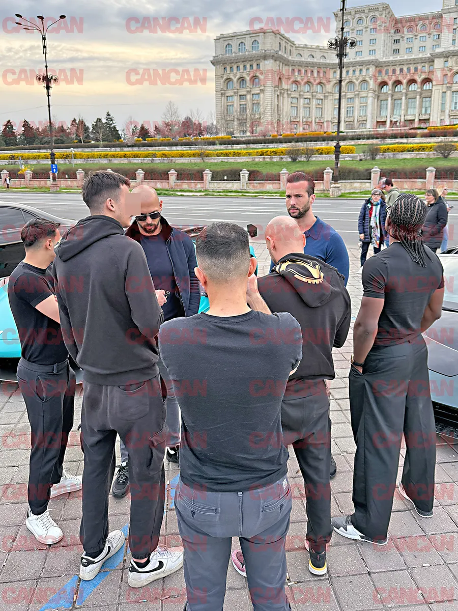 Frații Tate, aroganțe în România