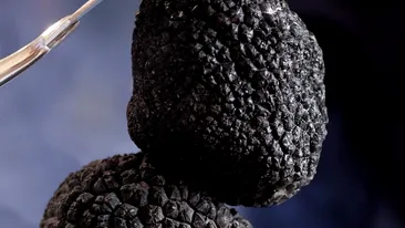 Top 5 cele mai scumpe alimente din lume. Sunt delicatese de lux pentru buzunarul românilor