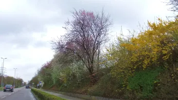 Cum va fi vremea astăzi. Cât mai ţin ploile