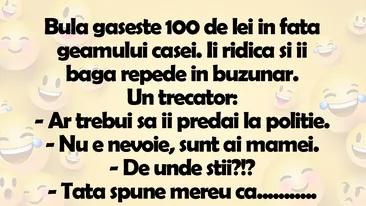 BANCUL ZILEI | Bulă găseşte 100 de lei în faţa geamului casei