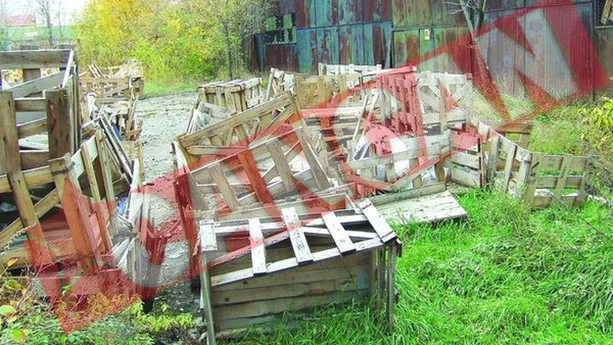 Bomba la periferia Satmarului