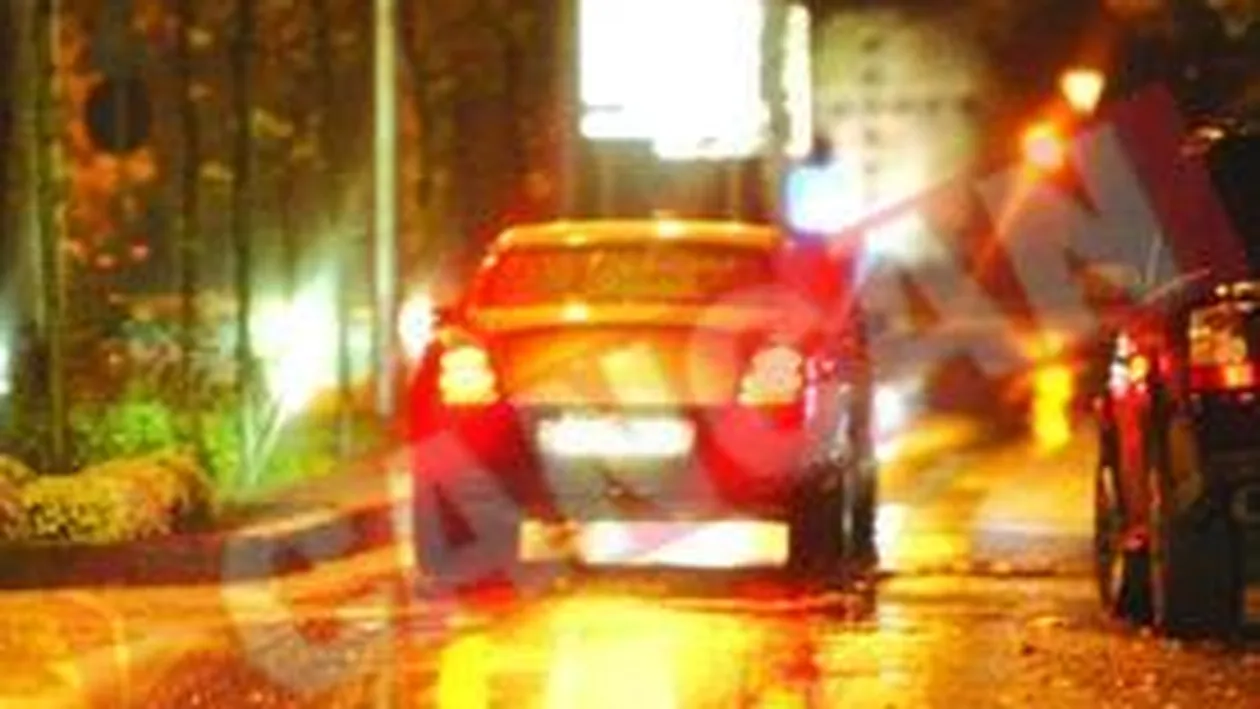 Divort in familia Columbeanu: ea la Gaia, el la Bamboo