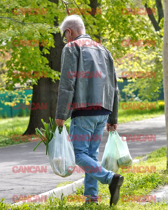 Dan Bittman