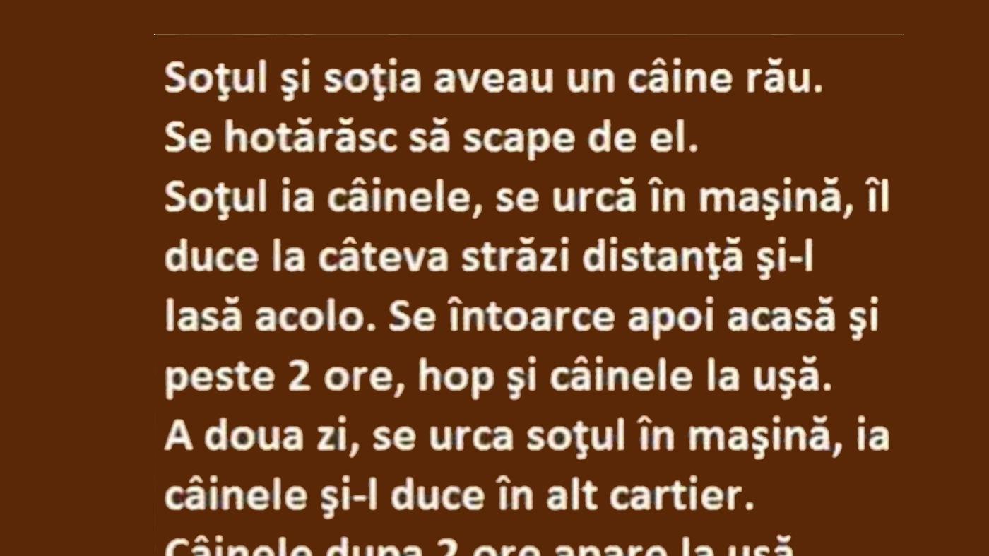 BANCUL ZILEI | Soțul, nevasta și câinele rău