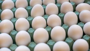 Ouăle au ajuns să fie mai scumpe decât carnea! Preţurile s-au majorat cu 50%, iar veştile rele nu se opresc aici!