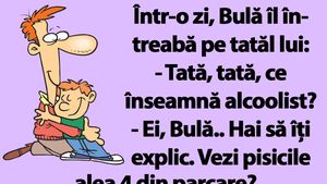 BANC | Bulă și definiția alcoolistului