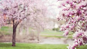 Vremea în România, 10 aprilie. ANM a anunțat ce temperaturi se vor înregistra astăzi