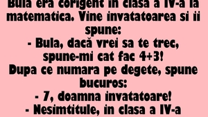 BANC | "Bulă, dacă vrei să te trec la matematică, spune-mi cât fac 4+3!"