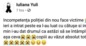 Galerie foto - poza 3