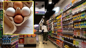 O femeie a cumpărat ouă de raţă de la supermarket şi s-a ales cu surpriza vieţii! Ce s-a întâmplat după fix 26 de zile