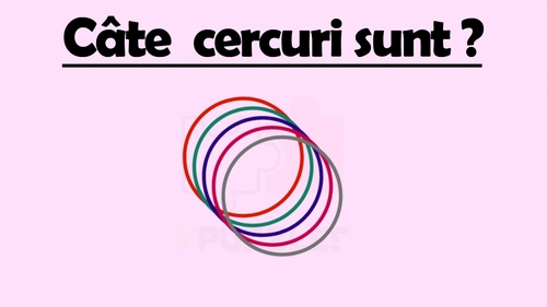 Test de inteligență | Câte cercuri sunt, de fapt, în această imagine?