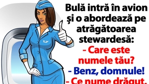 BANC | Bulă intră în avion și o abordează pe atrăgătoarea stewardesă: "Care e numele tău?"
