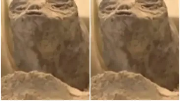 NASA ezită în fața celor două cadavre ”non-umane” din Mexic! Oficialii au oferit răspunsuri evazive: „Nu pot vorbi”