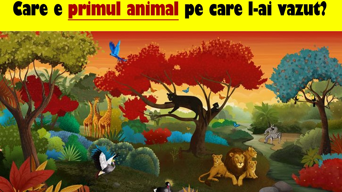 Test psihologic | Care e primul animal pe care l-ai văzut? Răspunsul îți va spune cea mai mare problemă pe care o ai