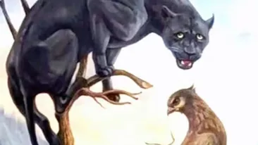 Iluzica optică a zilei | Află dacă ai stofă de lider, după ce priveşti această imagine