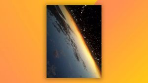 Iluzie optică zguditoare | Ce vezi în imaginea care a derutat pe toată lumea?