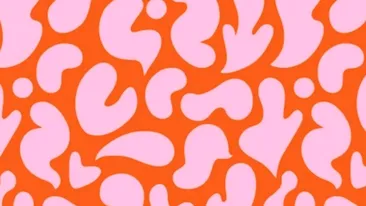 Iluzie optică virală | În această poză se ascunde o siluetă de pisică. O poți găsi în 5 secunde?