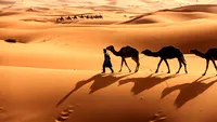 GALERIE FOTO. Zăpadă în deșertul Sahara, după o ninsoare extrem de rară