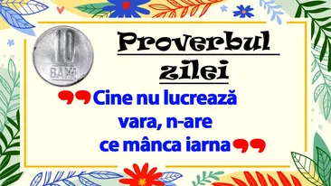 PROVERBUL ZILEI | Cine nu lucrează vara, n-are ce mânca iarna