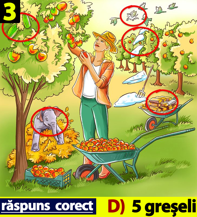 Test de inteligență special pentru genii | Găsiți toate greșelile în aceste 10 poze. Numărul răspunsurilor corecte îți va spune ce IQ ai