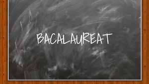 BACALAUREAT 2026 | Perla anului la limba română a fost la subiecte, nu la rezolvări. Ce a apărut scris la Subiectul I