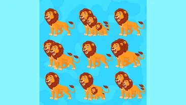 Test de perspicacitate | Câți lei sunt, în total, în această poză?