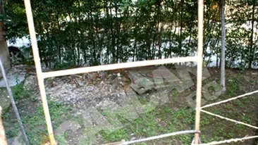 O femeie s-a aruncat de la etajul doi de dorul sotului mort