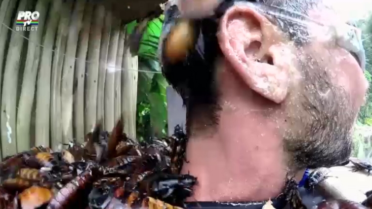 Clipe de groaza pentru Dorian Popa in jungla africana! A plans cu gandacul in gura