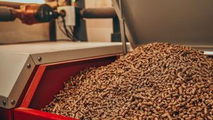 Ghid Complet: Cum estimezi consumul lunar al unei centrale pe peleți