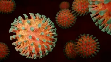 Alertă OMS: Europa a depăşit 60 de milioane de infectări de la începutul pandemiei!