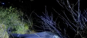 ALERTĂ la Marea Neagră! Fragment de dronă cu EXPLOZIBIL, interceptat și DISTRUS de militarii români la Gura Portiței