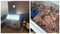 58 de turişti suferă de toxiinfecţie alimentară după ce s-au cazat la un hotel din Saturn. Ce au descoperit inspectorii DSVSA