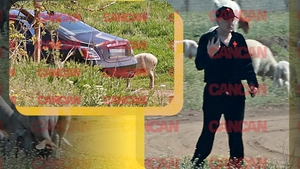 Imagini colosale cu Gigi Becali la stâna din Pipera. Și-a abandonat Rolls-ul de 500.000 € printre oi și...