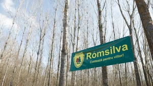 Prime colosale la pensionare pentru angajații Romsilva: 100.000 de euro