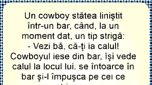 BANC | Un cowboy stătea liniștit într-un bar