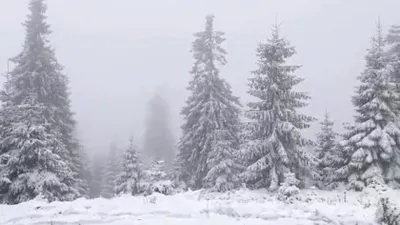 Cod portocaliu de viscol în zona de munte din județele Hunedoara și Caraș-Severin