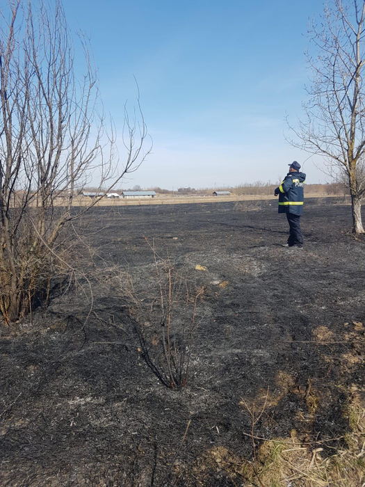 Un incendiu de vegetație a scăpat de sub control în Giurgiu