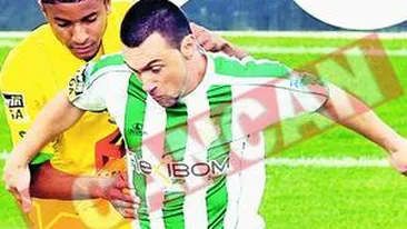 Pitbull: Rapid? Vreau sa joc acolo!