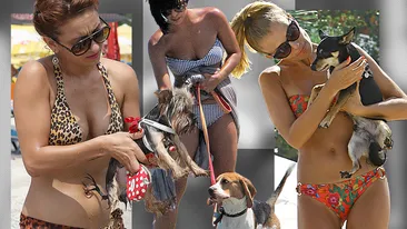 Top 25 dive cu prietenii necuvântători la plajă! Care e cea mai sexoasă dintre Bianca Drăgușanu, Crina Abrudan sau Lora?